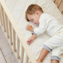 Nursery_Homepage_v1